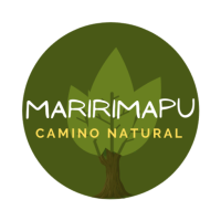 cropped-logo-MARIRIMAPU-sin-fondo-1.png
